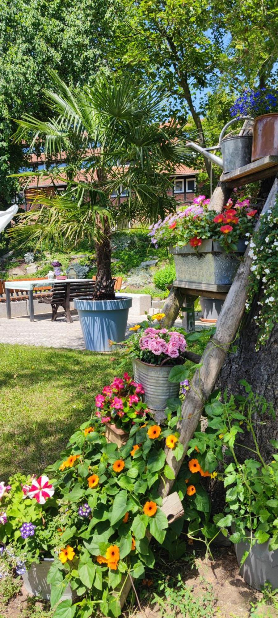 Apartment Im Gruenen Mit Anbindung Ans Zentrum Ерфурт Екстериор снимка