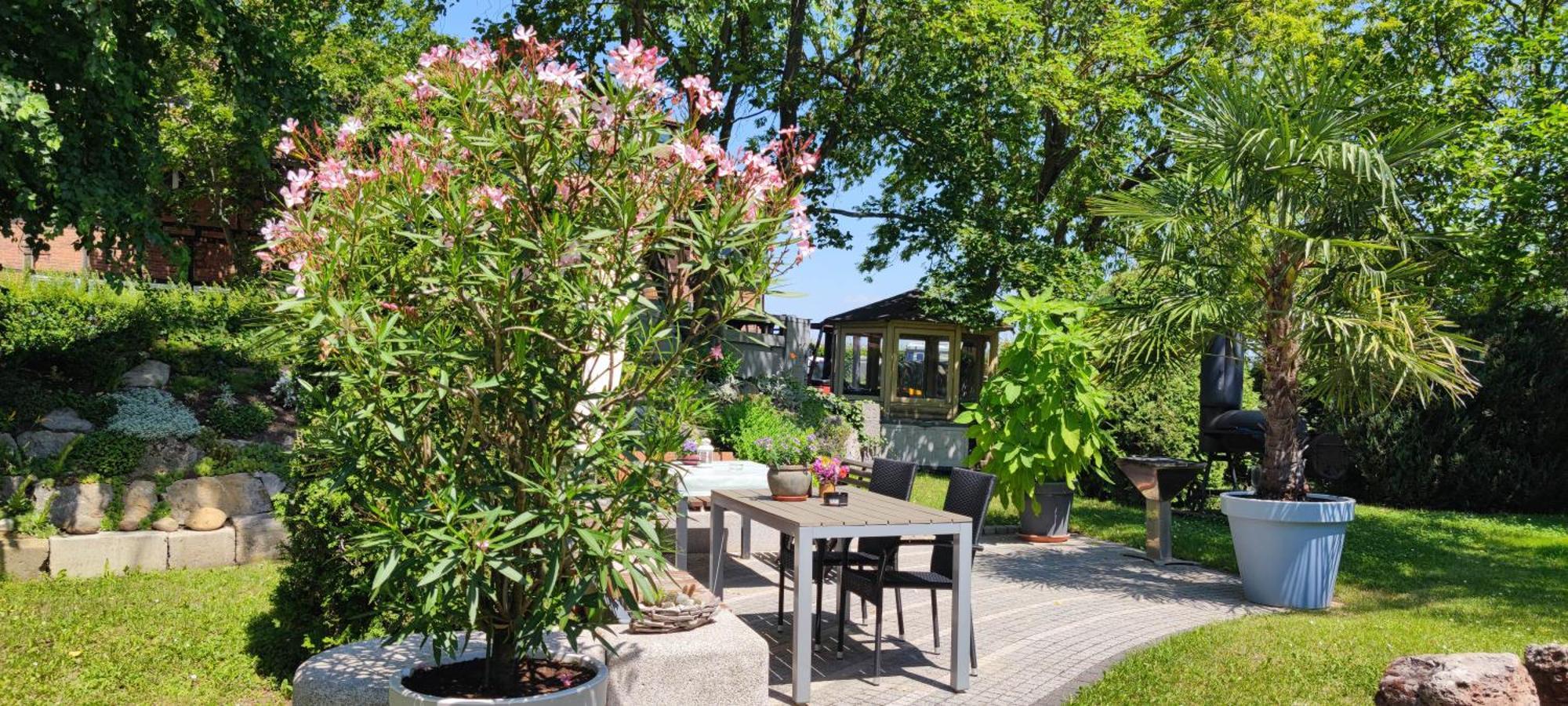 Apartment Im Gruenen Mit Anbindung Ans Zentrum Ерфурт Екстериор снимка